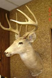 DEER CAMP 2007 050.jpg